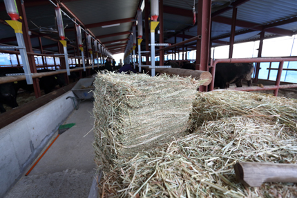 厳選した安全な飼料